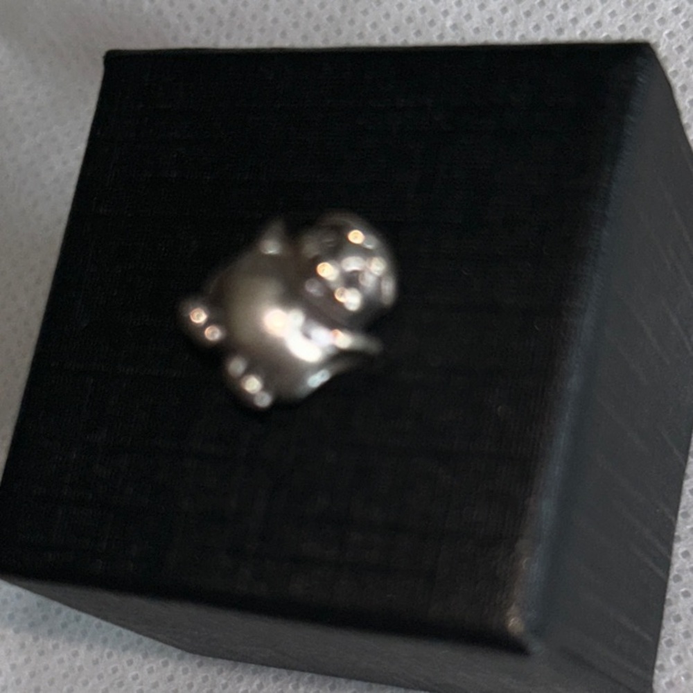 ** MAKE REASONABLE OFFER** Pandora  Sterling Silver Charm And Spacer Lot 12 - Picture 10 of 16